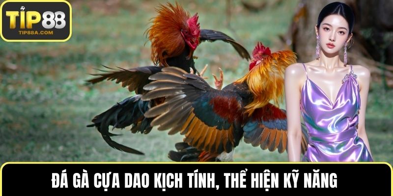 Đá gà cựa dao kịch tính, thể hiện kỹ năng 